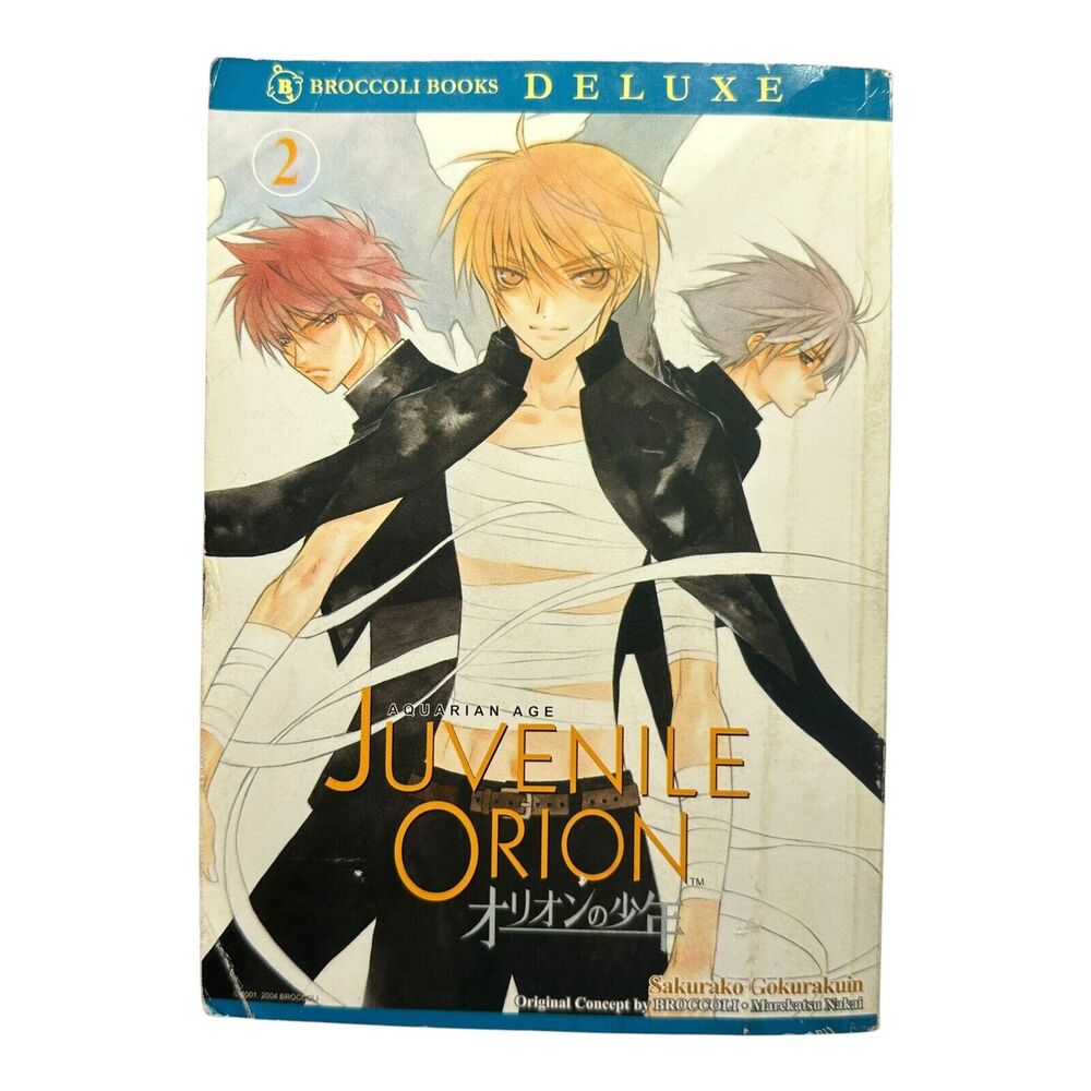 Aquarian Age Juvenile‎ Orion Vol 2 by Sakurako Gokurakuin English Fantasy Manga
